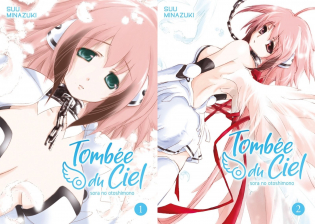 Couvertures des tomes 1 et 2 de Tombée du ciel title=